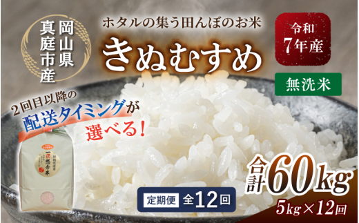 ＜定期便 全12回＞ 令和7年産 真庭市産きぬむすめ 無洗米5kg×12回 / お米 国産 岡山県 米 人気 ブランド 2025年産 【tkns-tkb021-cho】 ５kg×12回