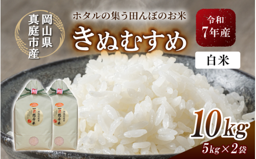 令和7年産 真庭市産 きぬむすめ 白米 10kg / お米 国産 岡山県 米 人気 ブランド 2025年産 【tkns006-01-cho】 10kg(5kg×2袋)