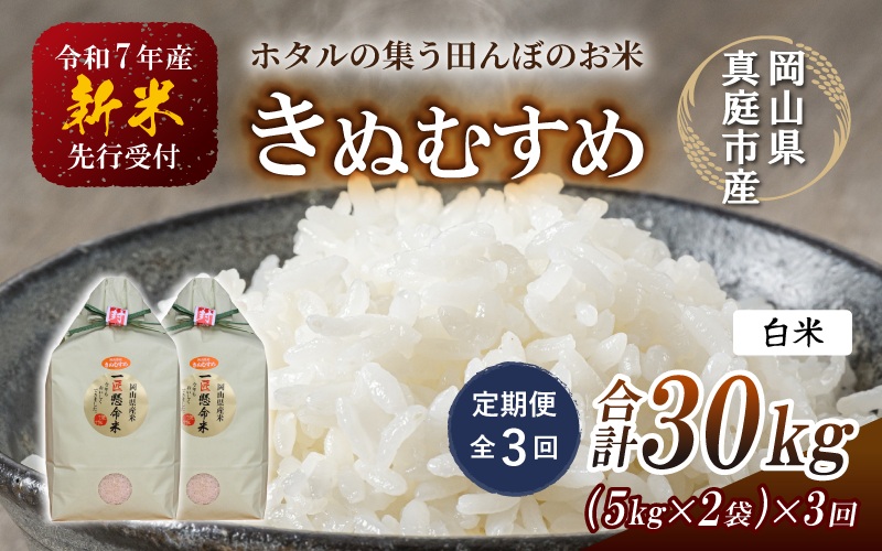 ＜定期便 全3回＞令和7年産 真庭市産きぬむすめ 白米 10kg(5kg×2袋）×3回 / お米 国産 岡山県 米 人気 ブランド 2025年産 【tkns-tkb016】 10kg(5kg×2袋)×３回