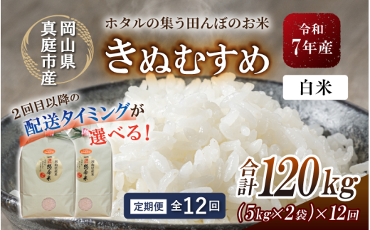 ＜定期便 全12回＞令和7年産 真庭市産きぬむすめ 白米10kg(5kg×2袋)×12回 / お米 国産 岡山県 米 人気 ブランド 2025年産 【tkns-tkb018-cho】 10kg(5kg×2袋)×12回