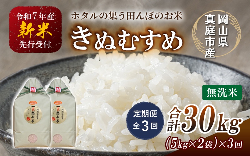 ＜定期便 全3回＞ 令和7年産 真庭市産きぬむすめ 無洗米 10kg (5kg×2袋) ×3回 岡山県 竹中商店 先行予約 米 【tkns-tkb022】 10kg(5kg×2袋)×３回