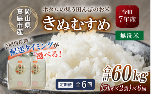 ＜定期便 全6回＞ 令和7年産 真庭市産きぬむすめ 無洗米10kg (5kg×2袋) ×6回 / お米 国産 岡山県 米 人気 ブランド 2025年産 【tkns-tkb023-cho】 10kg(5kg×2袋)×６回