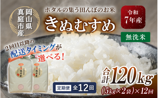 ＜定期便 全12回＞ 令和７年産 真庭市産きぬむすめ　無洗米 10kg (5kg×2袋) ×12回 / お米 国産 岡山県 米 人気 ブランド 2025年産 【tkns-tkb024-cho】 10kg(5kg×2袋)×12回