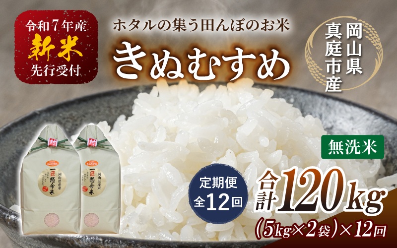 ＜定期便 全12回＞ 令和７年新米 真庭市産きぬむすめ　無洗米 10kg (5kg×2袋) ×12回 / お米 国産 岡山県 米 人気 ブランド 2025年産 【tkns-tkb024】 10kg(5kg×2袋)×12回