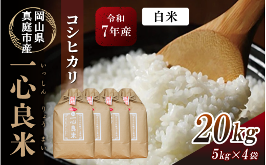 【令和7年産】 真庭市産コシヒカリ 米ぬか 牡蠣栽培米 『 一心良米 』 白米 20kg (5kg×4袋） / お米 いっしんりょうまい 岡山県 こしひかり 人気 ブランド 2025年産 【tkns013-01-cho】