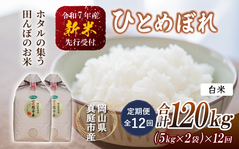 ＜定期便全12回＞ 令和7年新米 真庭市産 ひとめぼれ 白米 10kg(5kg×2袋)×12回（定期便）/ お米 岡山県 真庭市 白米 米 ひとめぼれ 人気 ブランド米 2025年産 【tkns-tkb006】 10kg(5kg×2袋)×12回