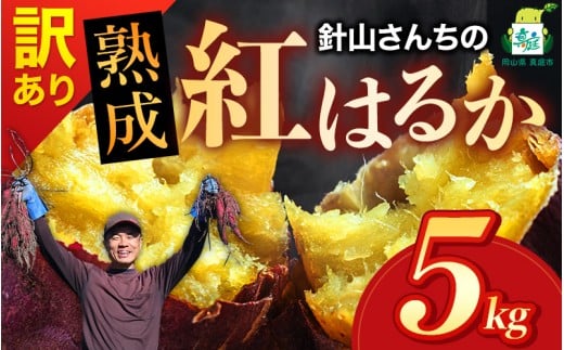 【訳あり】針山さんちのさつまいも 紅はるか 5kg / さつまいも 紅はるか 岡山県 野菜 【ybrf002-01】