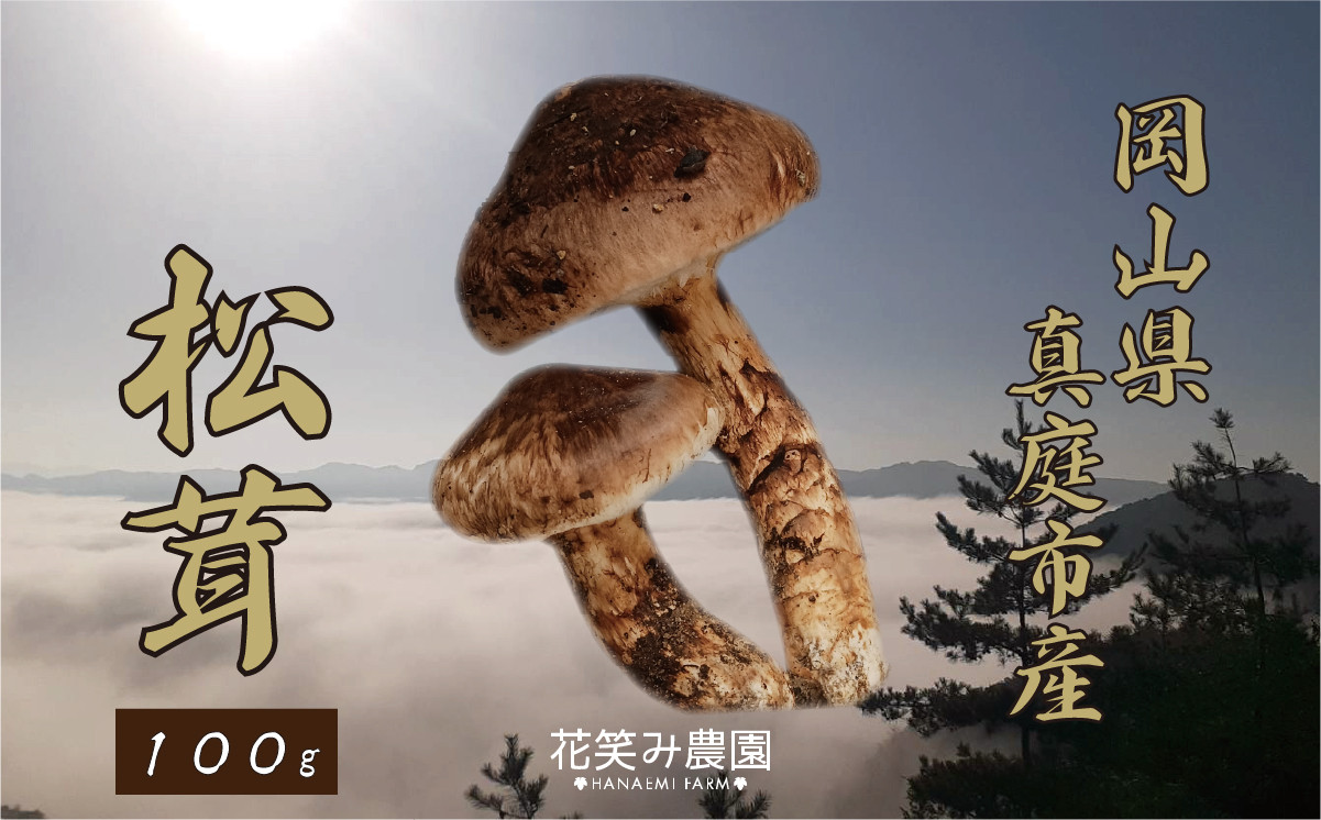 hana77.花笑み農園　岡山の『松茸』100g【hana077-01】
