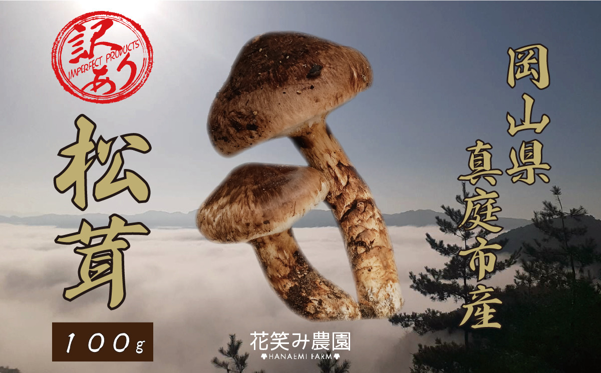 hana78.花笑み農園　岡山の訳あり『松茸』100g【hana078-01】