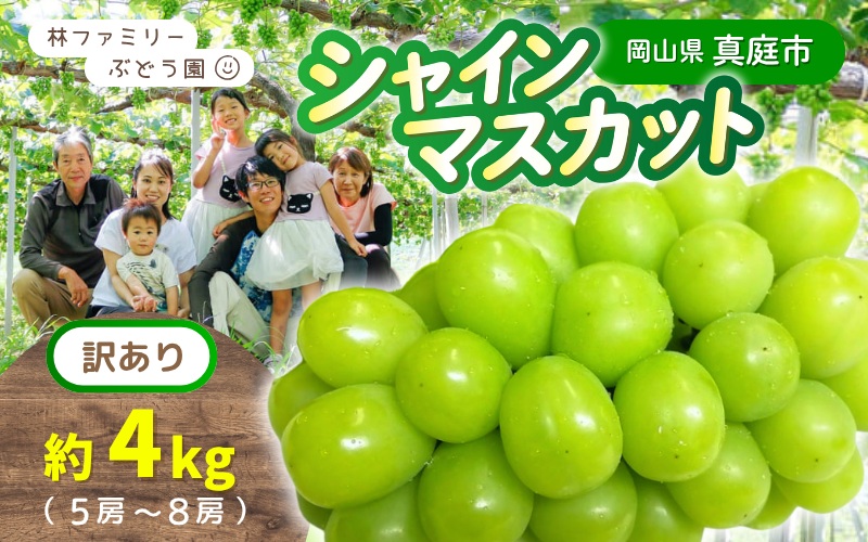 【訳あり】 ※2026年の予約です！※ 岡山県産 林ファミリーのシャインマスカット 約4kg（約5～8房）【2026年先行予約】 / ブドウ ぶどう 岡山 真庭市 マスカット 葡萄 果物 フルーツ 新鮮 人気 数量限定 お買い得 家庭用 お試し たっぷり ぶどう専門 【hfami023-02】