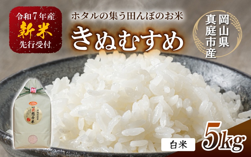 【令和7年産先行予約】令和７年新米 真庭市産 きぬむすめ 白米 ５kg / お米 国産 岡山県 真庭市 白米 米 きぬむすめ キヌムスメ 人気 ブランド米 新米 先行予約 令和7年産 2025年産【takenaka013-01】 5kg