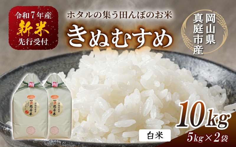【令和7年産先行予約】令和７年新米 真庭市産 きぬむすめ 白米 10kg / お米 国産 岡山県 真庭市 白米 米 きぬむすめ キヌムスメ 人気 ブランド米 新米 先行予約 令和7年産 2025年産【takenaka027-01】 10kg(5kg×2袋)
