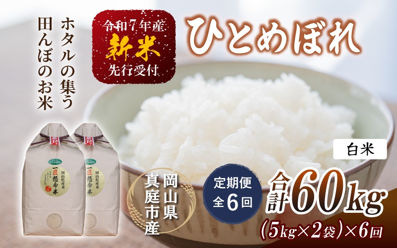 【令和7年産先行予約】＜定期便全６回＞ 令和７年新米 真庭市産 ひとめぼれ 白米 １０kg(5kg×2袋)×６回（定期便）/ お米 岡山県 真庭市 白米 米 ヒトメボレ ひとめぼれ 人気 ブランド米 新米 令和7年産 2025年産 <TKN-27-6>【takenaka040-01-tkb06】 10kg(5kg×2袋)×６回