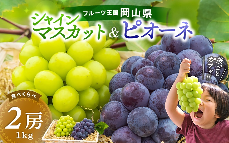 【2026年先行予約】 シャインマスカット&ニューピオーネ 1kg～1.5kg（2房） 2026年9月中旬～ 受付順に発送予定 贈答用にも 花笑み農園厳選 岡山 真庭 ピオーネ 詰め合わせ 高級 贈答 2026 真庭市 大粒 葡萄 食べ比べ 果物 フルーツ 濃厚ピオーネ 人気 シャインマスカット 数量限定 【hana007-02】