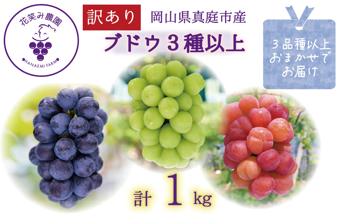 【2026年の先行予約です！】 訳あり ぶどう 花笑み農園のぶどう おまかせ3種以上（約１kg） hana18-1. / ぶどう 詰め合わせ 食べ比べ ブドウ シャインマスカット ピオーネ クイーンニーナ オーロラブラック 瀬戸ジャイアンツ 翠峰 BKシードレス マスカサーティーン マスカットノワール 雄宝 マイハート 先行予約 フルーツ 果物 岡山 真庭市【hana018-02】