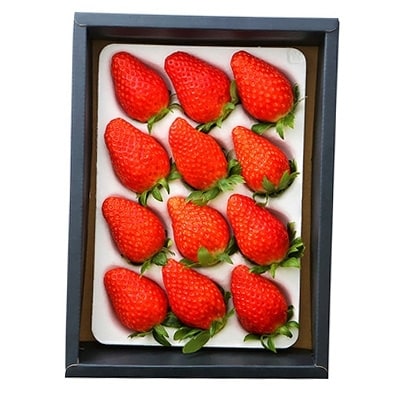 岡山県美作市産　厳選1品種いちご(約400g)【配送不可地域：離島・北海道・沖縄県】