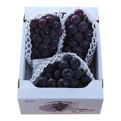 朝採りニューピオーネ2kg(3房～5房)【配送不可地域：離島】