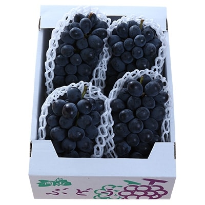 朝採りニューベリーA　2kg(3房～5房)【配送不可地域：離島】