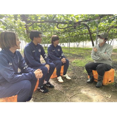 岡山県美作市産　Belleシャインマスカット 2kg(3房～5房)【配送不可地域：離島】