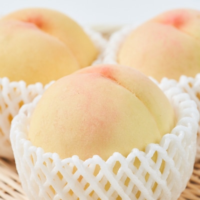 2026年先行予約　ご家庭用 岡山 清水白桃2kg(6玉～9玉)【配送不可地域：離島】