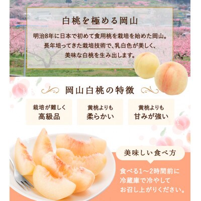 【2026年発送】岡山県産　白桃 8玉(2kg以上) 等級:ロイヤル 化粧箱入り 【配送不可地域：離島・北海道・沖縄県】