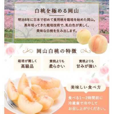 【2026年発送】岡山県産　白桃 5玉 (1.5kg以上) 等級:ロイヤル 木箱入り【配送不可地域：離島・北海道・沖縄県】