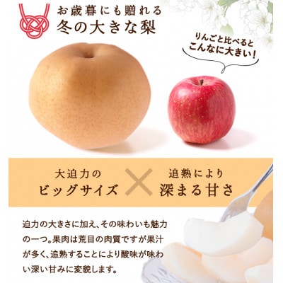 岡山県産 あたご梨 4～7玉(約4kg) 化粧箱入り【配送不可地域：離島・北海道・沖縄県】