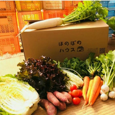 【畑から直送】岡山美作産　旬を楽しみ味覚を育む野菜約8種(約5kg)【配送不可地域：離島】