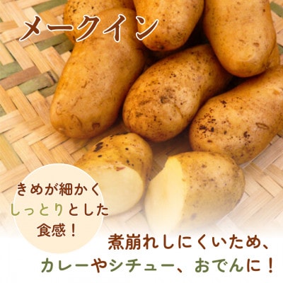 岡山県美作産じゃがいも食べ比べセット(アンデスレッド＆メークイン)　各1kg