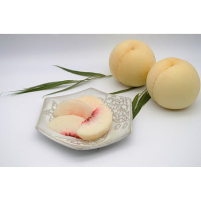 2026年先行予約　岡山白桃　ロイヤル　(1箱3玉入り)800g【配送不可地域：離島】