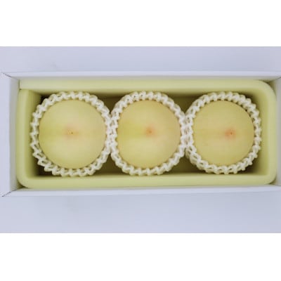 2026年先行予約　岡山県産おかやま夢白桃3玉　エース【配送不可地域：離島】