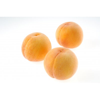 2026年先行予約　岡山黄桃　5玉　【ご家庭用】1.5キロ