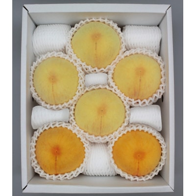 2026年先行予約　岡山白桃4玉・黄桃セット2玉　食べ比べセット