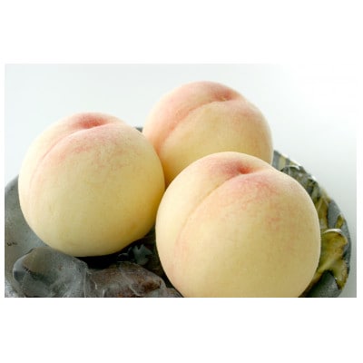 2026年先行予約　白鳳　5玉　1.3キロ【配送不可地域：離島】