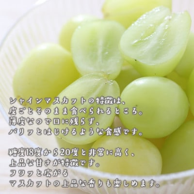 朝採りシャインマスカット＆ニューピオーネ　計1kg【配送不可地域：離島・北海道・沖縄県】