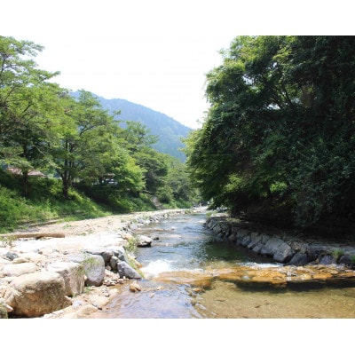 渓流釣り体験【大人1名入場券】