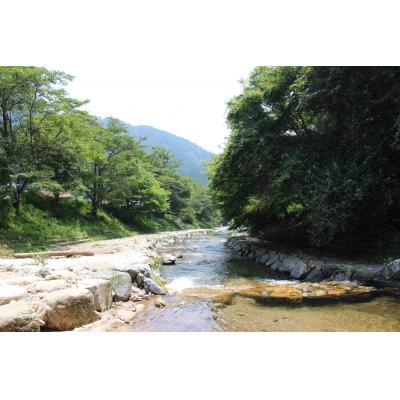 渓流釣り体験【大人1名 入場回数券】