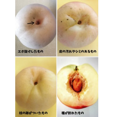 【2026年7月中旬より順次発送予定】岡山の桃　品種おまかせ『訳あり桃』　2kg箱(約6～9玉入り)【配送不可地域：離島・北海道・沖縄県】