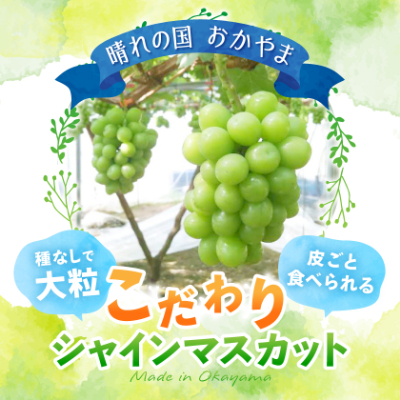 岡山県美作市産　シャインマスカット　2kg(3～5房)【配送不可地域：離島】