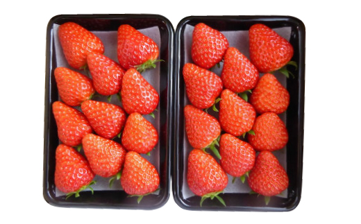 岡山県美作市産　いちご詰合せ(約280g×2パック)【配送不可地域：離島・北海道・沖縄県】