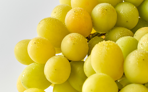 2026年先行受付【家庭用】美作市産シャインマスカット　2kg以上(3～5房)【配送不可地域：離島・北海道・沖縄県】