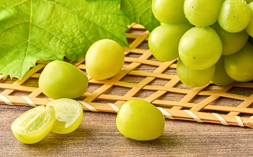 2026年先行受付　美作市産シャインマスカット650g前後　1房【配送不可地域：離島・北海道・沖縄県】