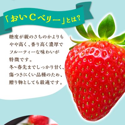 岡山県美作市産　おいCベリー(約280g×4パック)【配送不可地域：離島・北海道・沖縄県】