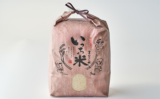 コシヒカリ　いっちょ米(5kg×1袋)
