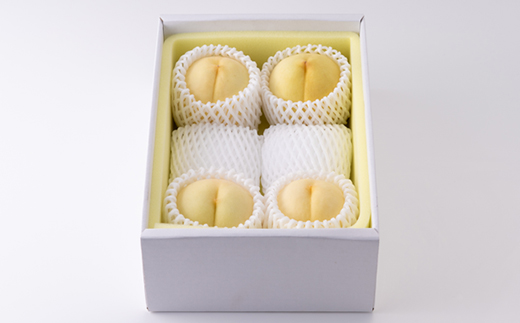 2026年先行予約　岡山白桃(ご家庭用)1.2キロ(1箱4～6玉)【配送不可地域：離島】