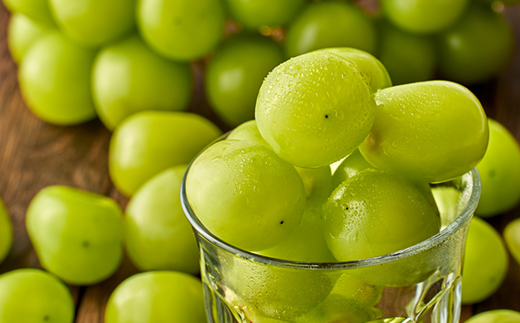 2026年先行予約　岡山県産シャインマスカット1.3kg(2房)【配送不可地域：離島】