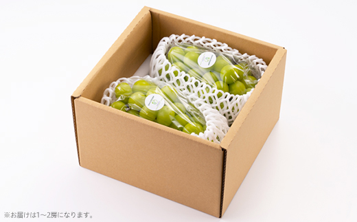 美作市産シャインマスカット1Kg【配送不可地域：離島】