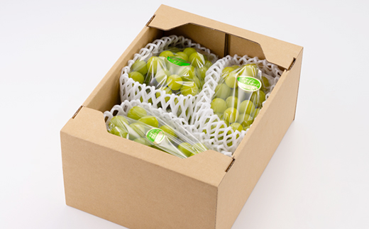 【訳あり】シャインマスカット 2Kg【配送不可地域：離島】