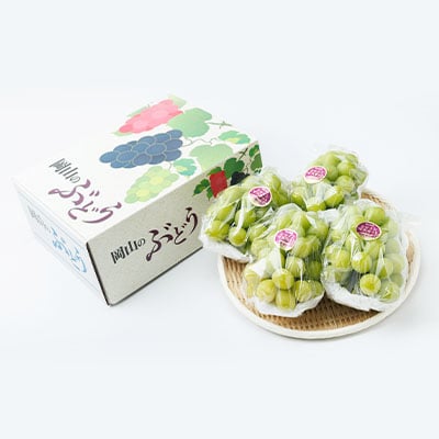 【2026年先行受付】岡山県産　朝採りシャインマスカット　2kg【配送不可地域：離島】