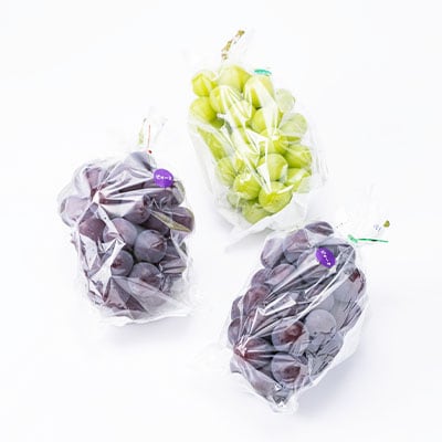 2026年先行予約　岡山県産のぶどう詰め合わせ2kg(シャインマスカット1房とピオーネ2房)【配送不可地域：離島】